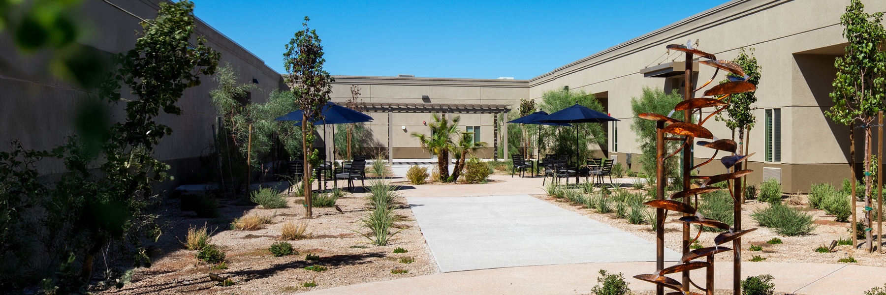 Desktop Background Image